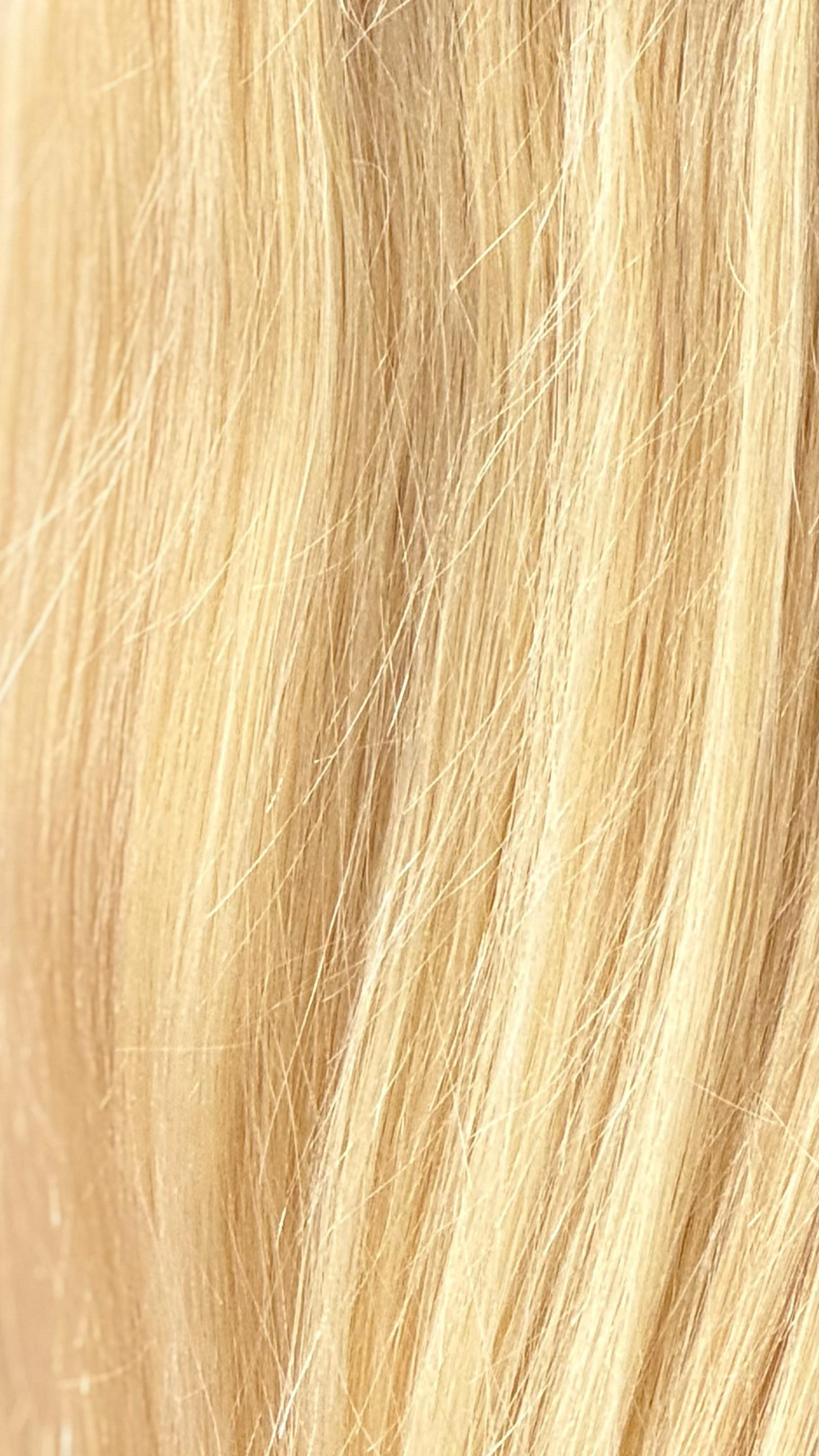 Blonde Double DD